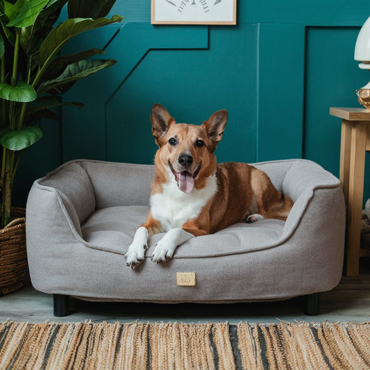 How to Choose the Ultimate Cozy Haven for Your Pooch: Unveiling the Best Soft and Cozy Plush Fleece Dog Beds by Puptastic Toys
