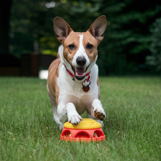 Interactive Toys for Dogs: Boosting Mental Stimulation and Bonding
