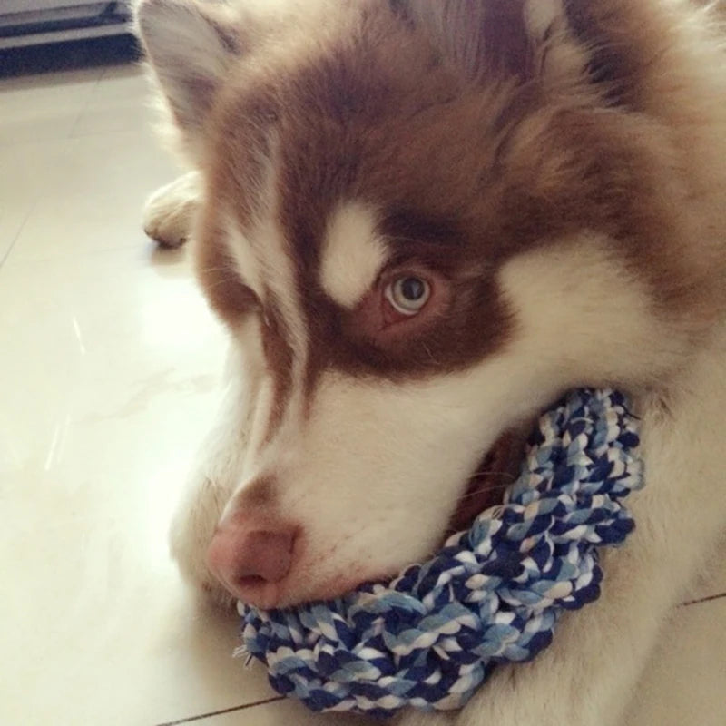 Durable Big Dog RIng Rope Chew Toy