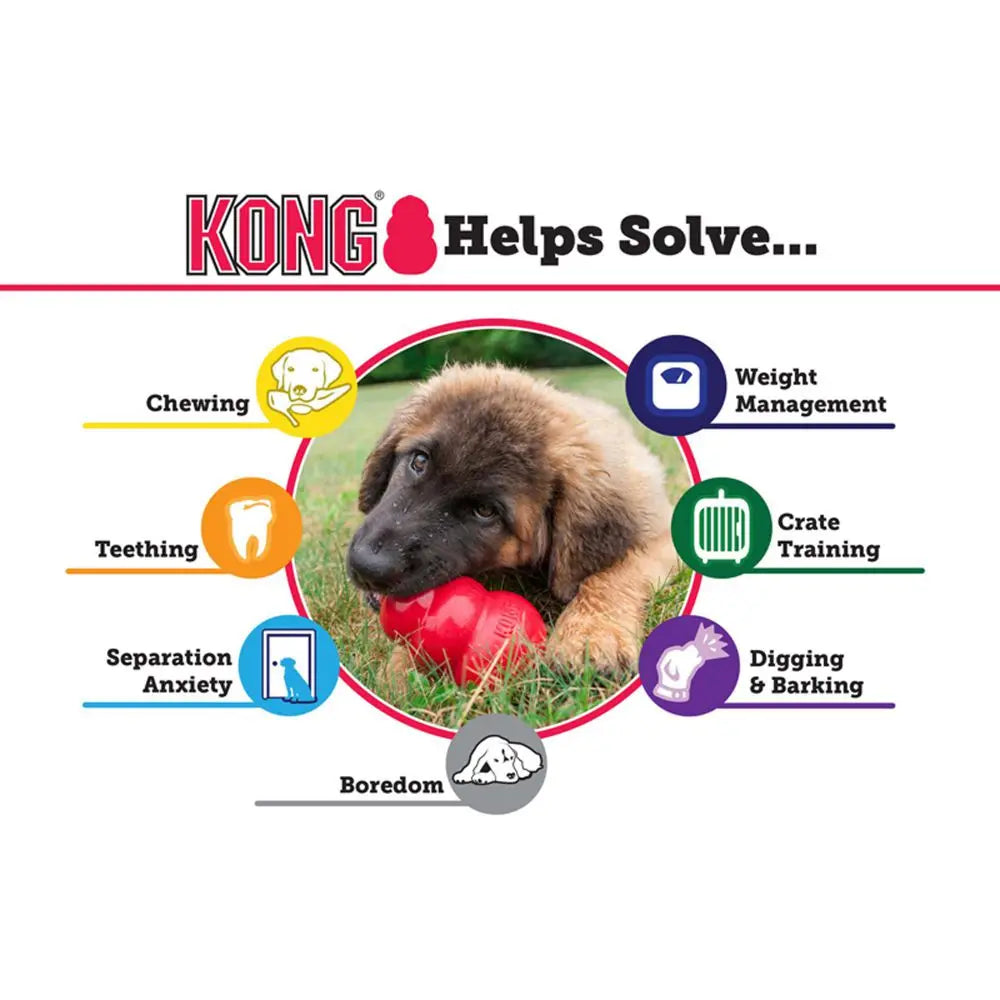 KONG Senior Dog Chew Toy