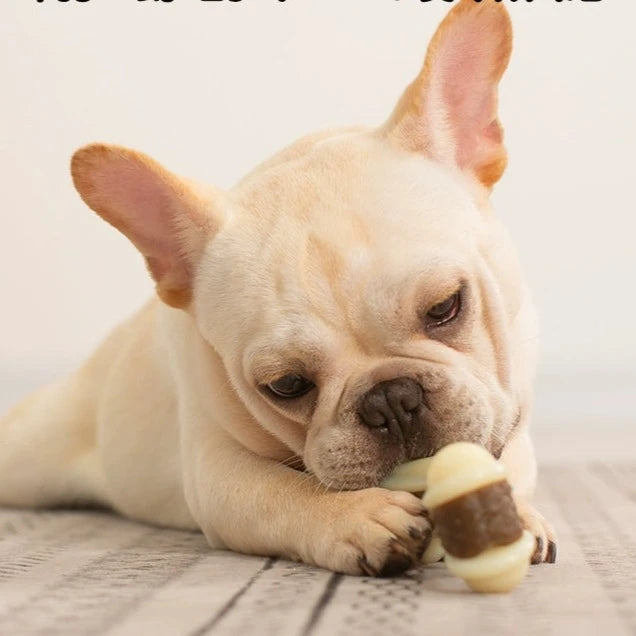 Durable Nylon Dog Chews - Variety Pack