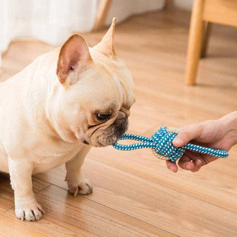 Mini Rope Toys for Dogs