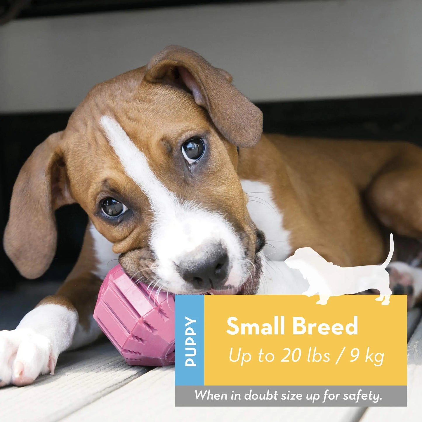 KONG - Teething Puppy Activity Ball Treat Dispenser