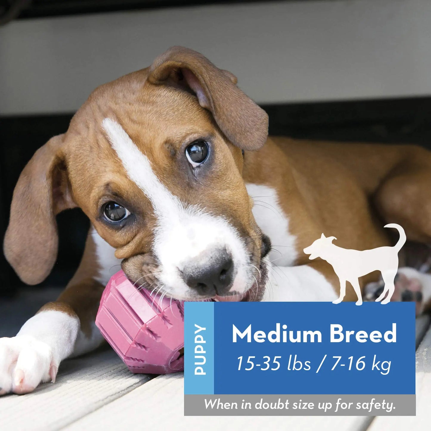 KONG - Teething Puppy Activity Ball Treat Dispenser