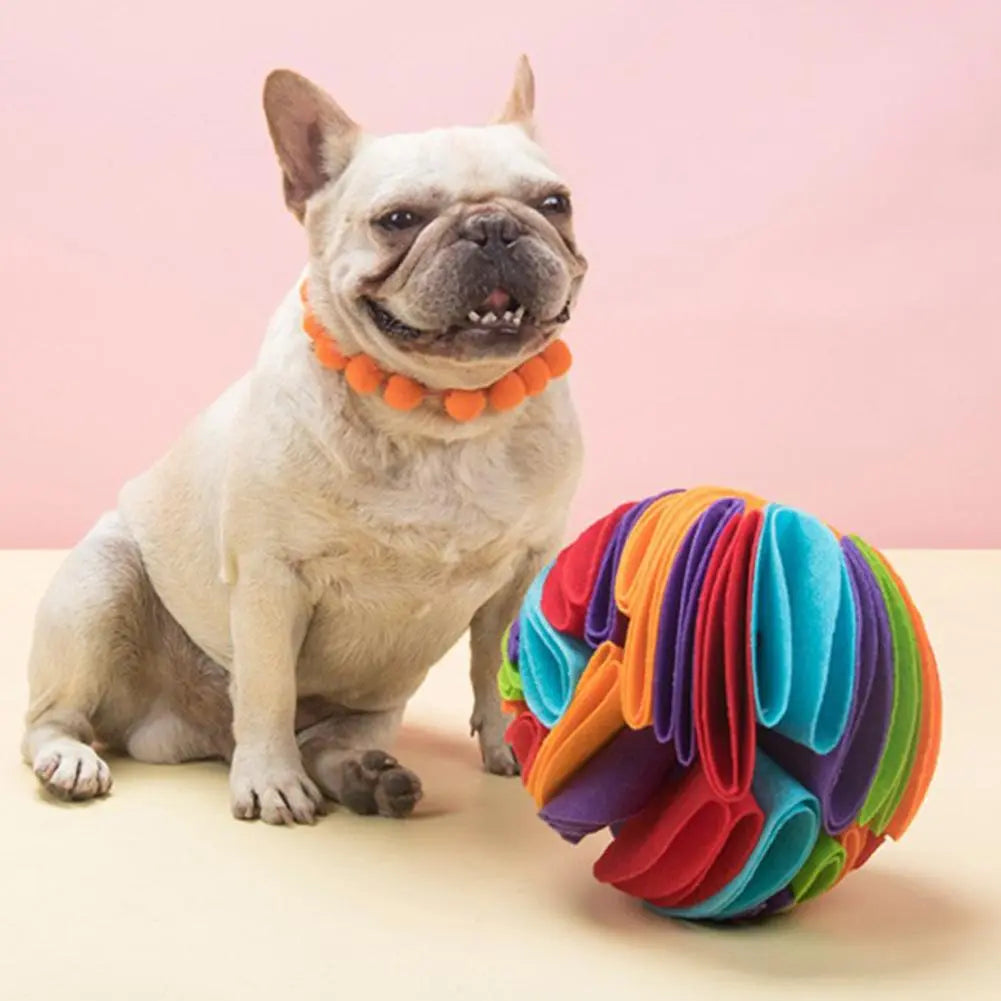 Dog Sniffing Puzzle Ball
