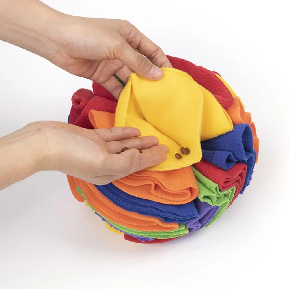 Dog Sniffing Puzzle Ball