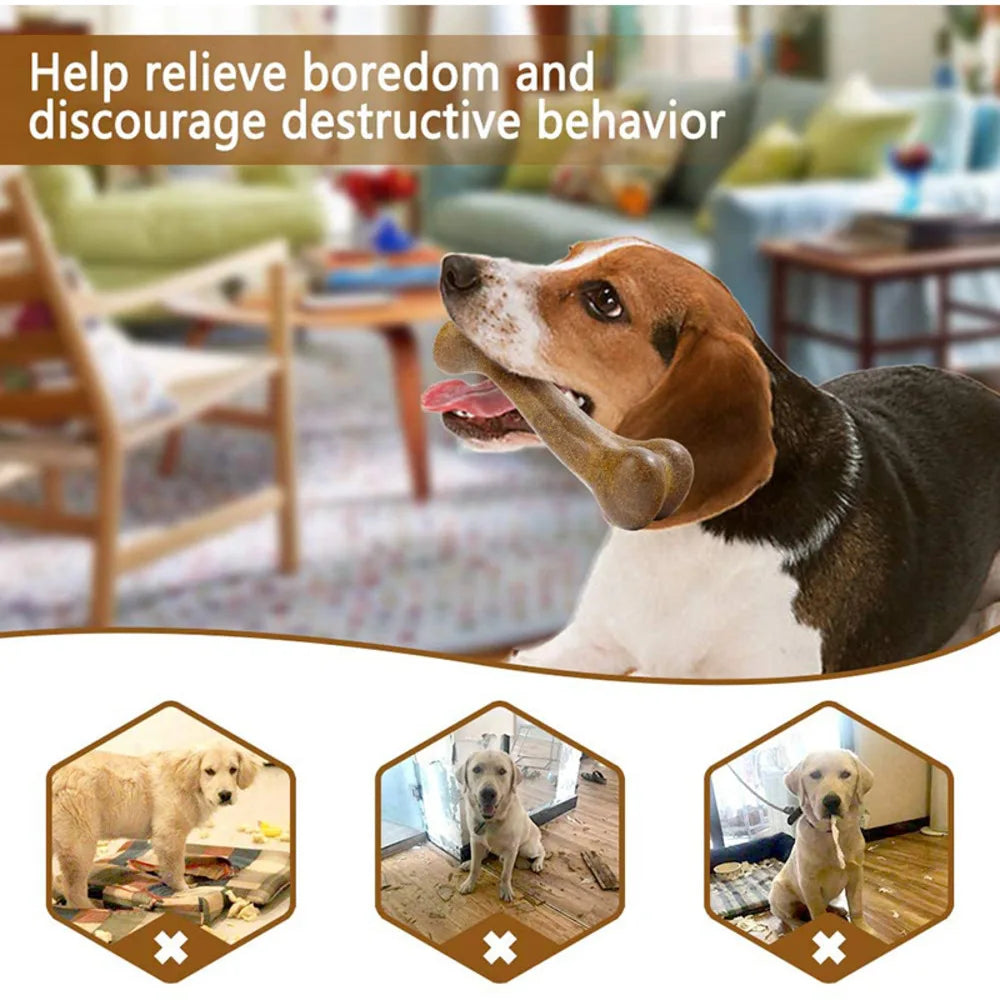 Dog Bone Dental Chews Toy