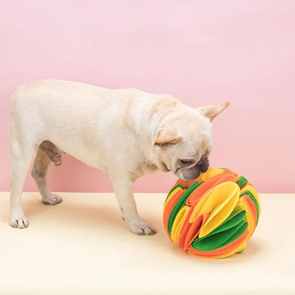 Dog Sniffing Puzzle Ball