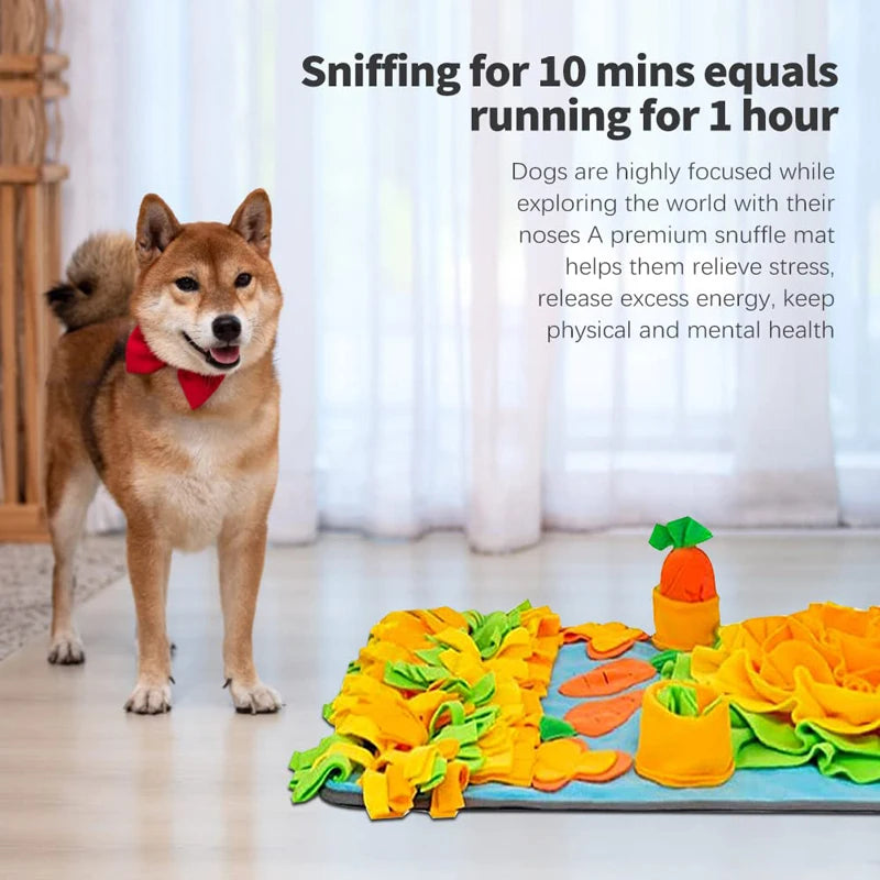 Durable Non-slip Dog Snuffle Mat