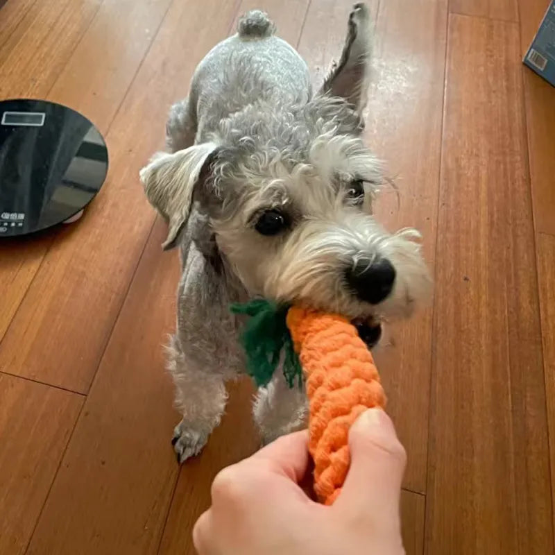 Dog Rope Chew Toys for Small Dogs