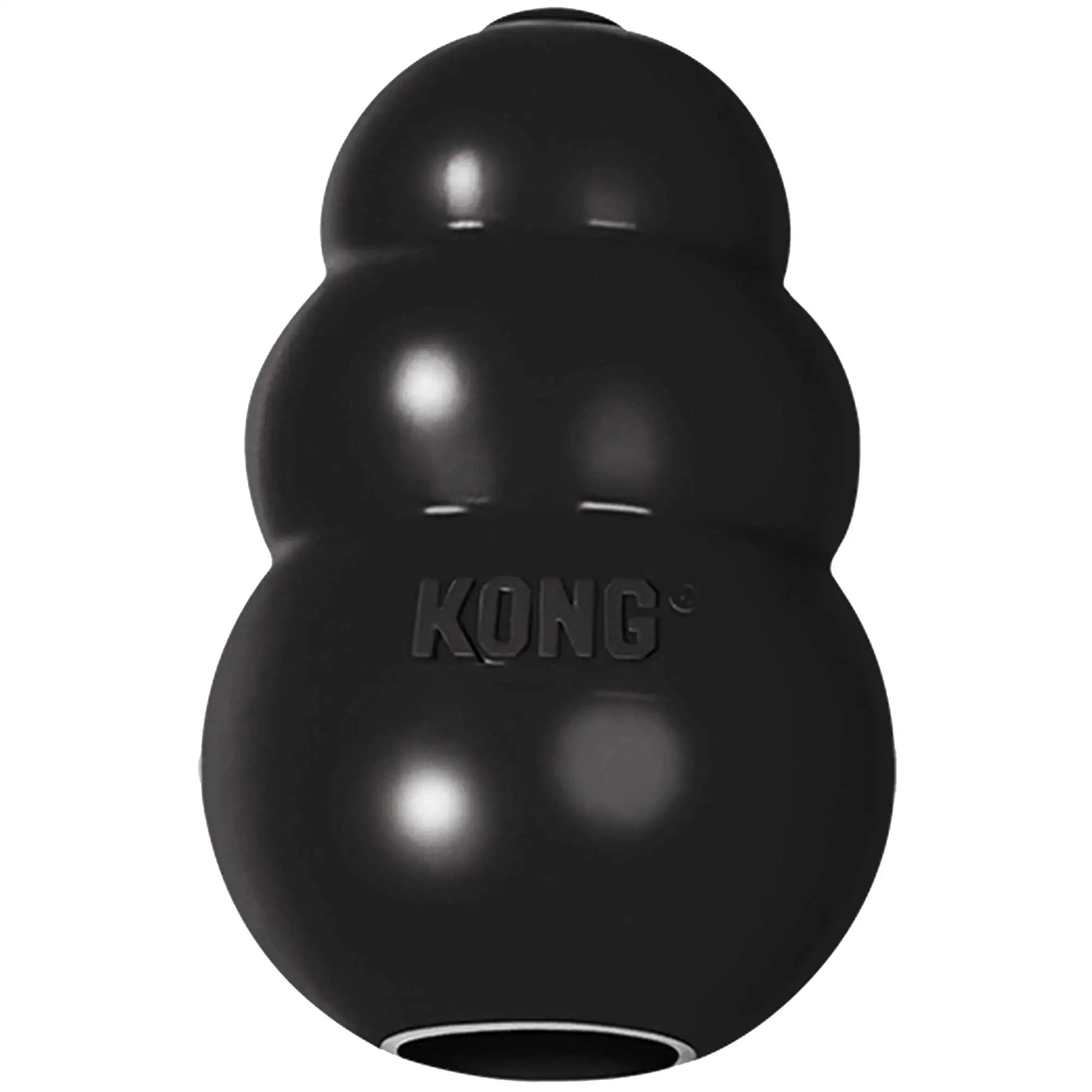 Kong extreme Puptastic Dog Toys