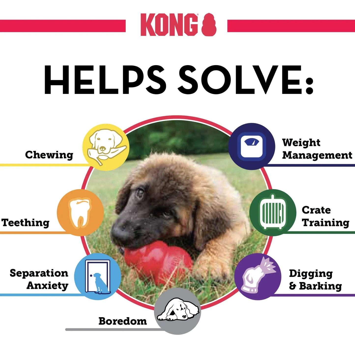 KONG Extreme Natural Rubber Dog Chew Toy