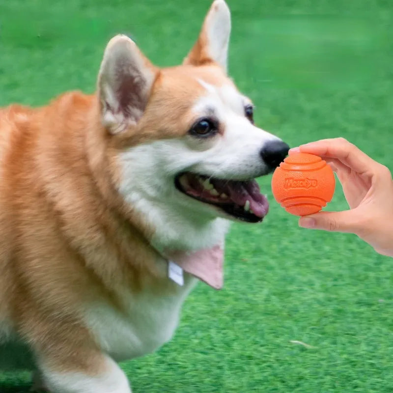 Indestructible Chew Bouncy Rubber Balls