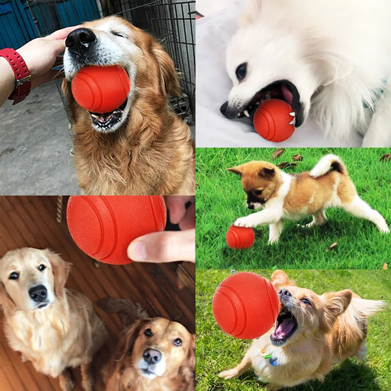 Red Rubber Ball for Dogs