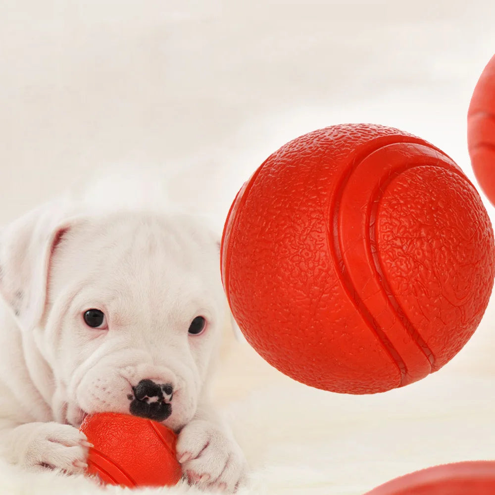 Red Rubber Ball for Dogs