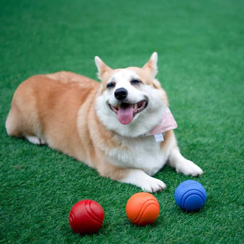 Indestructible Chew Bouncy Rubber Balls