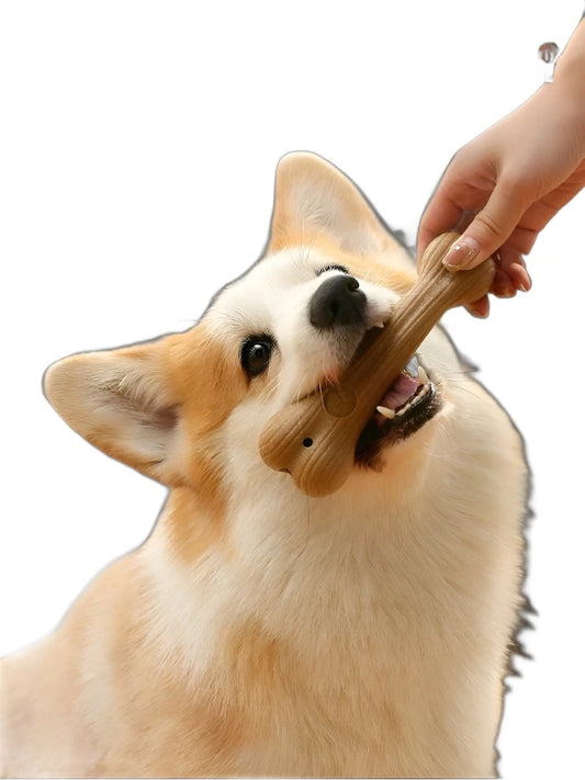 Tooth Cleaning Antler Style Chews