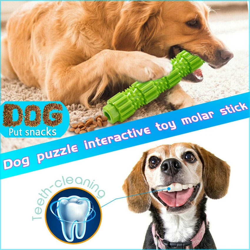 Interactive Rubber Chew Toy for Small to Medium Dogs