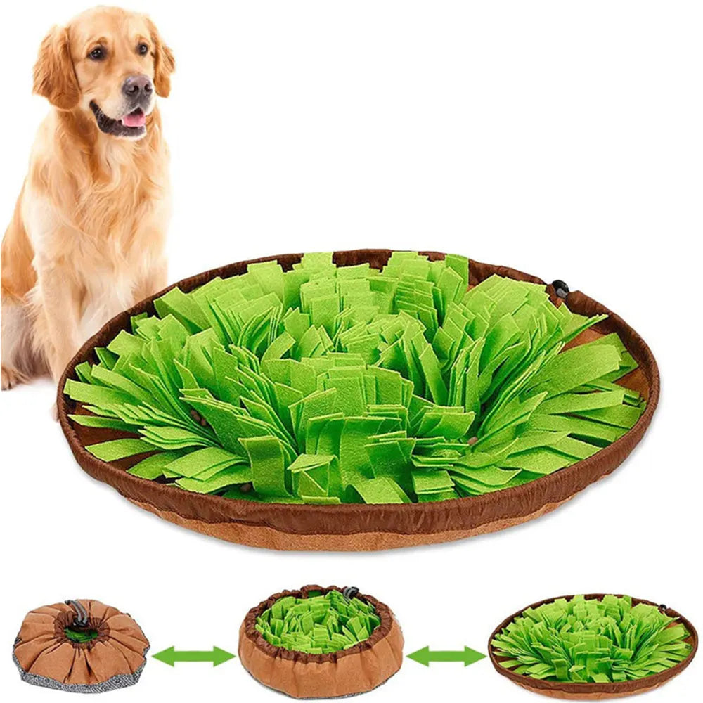 Bowl-Shaped Snuffle Mat