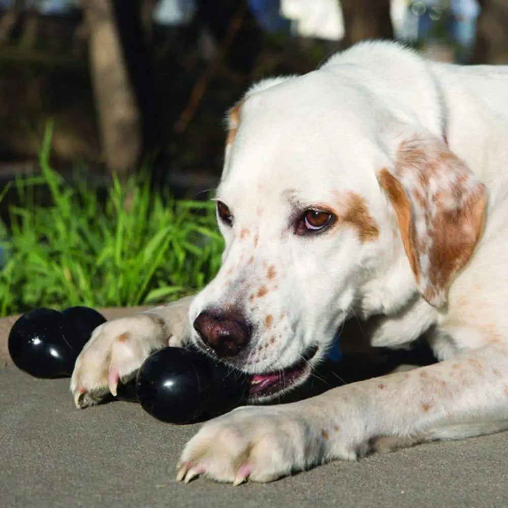 KONG Extreme Goodie Bone for Power Chewers