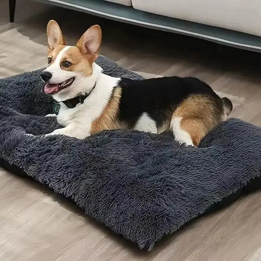 Large Plush Dog Mattress Bed