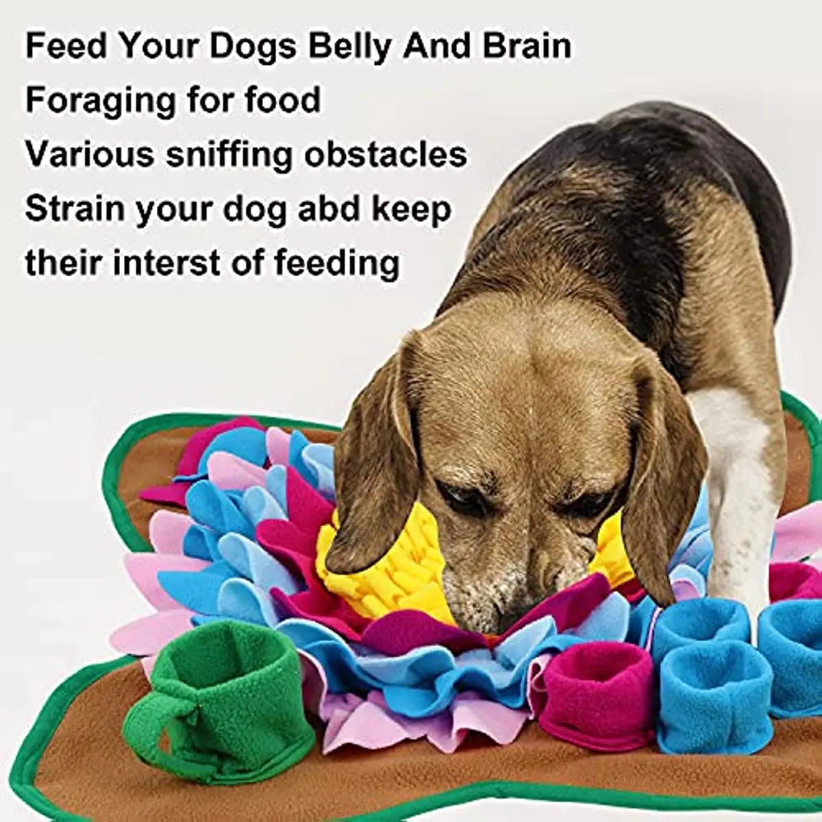 Doggy Playtime Snuffle Mat