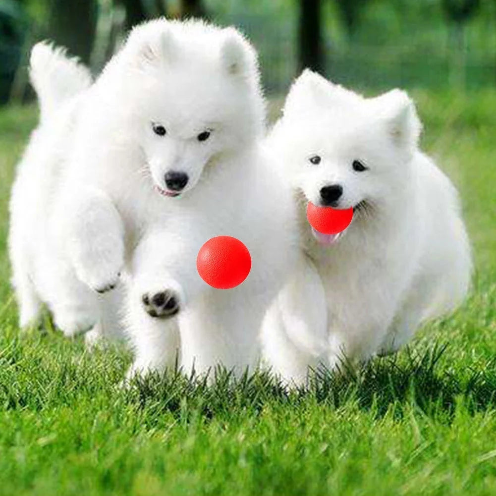 Indestructible Solid Rubber Ball