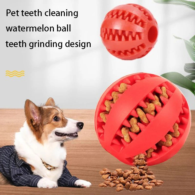 Natural Rubber Interactive Dog Chew