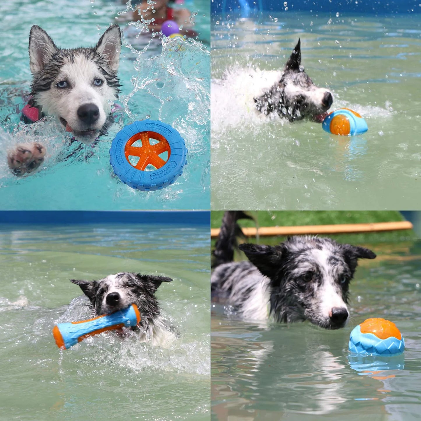 Squeaky Rubber Dog Toys