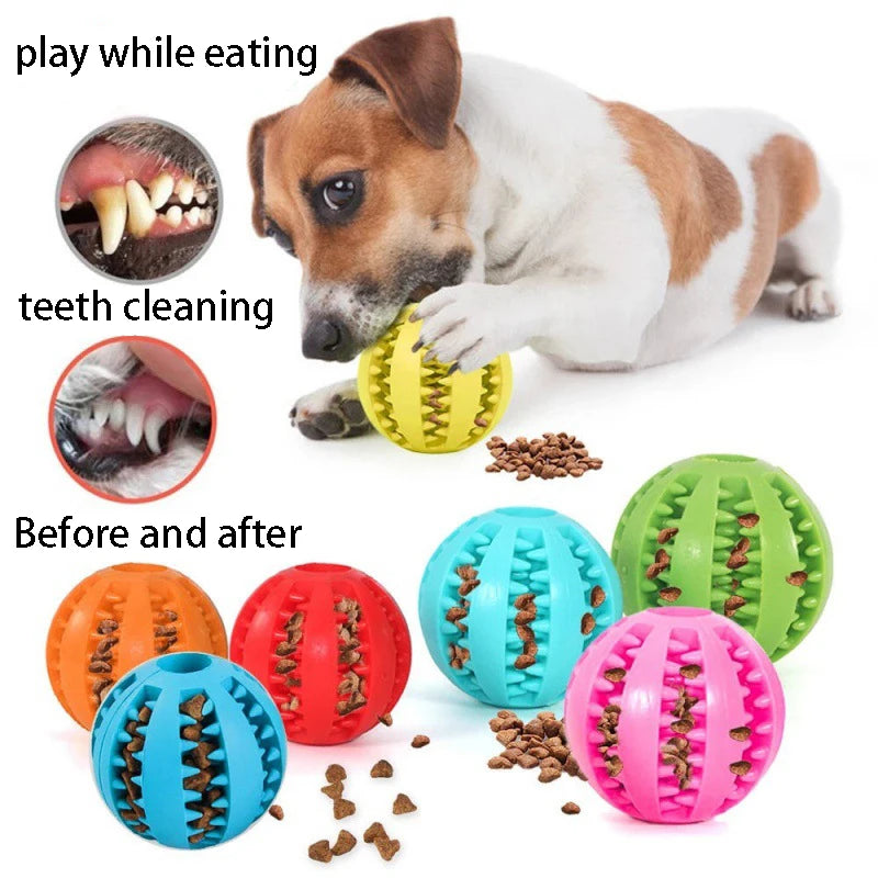 Natural Rubber Interactive Dog Chew