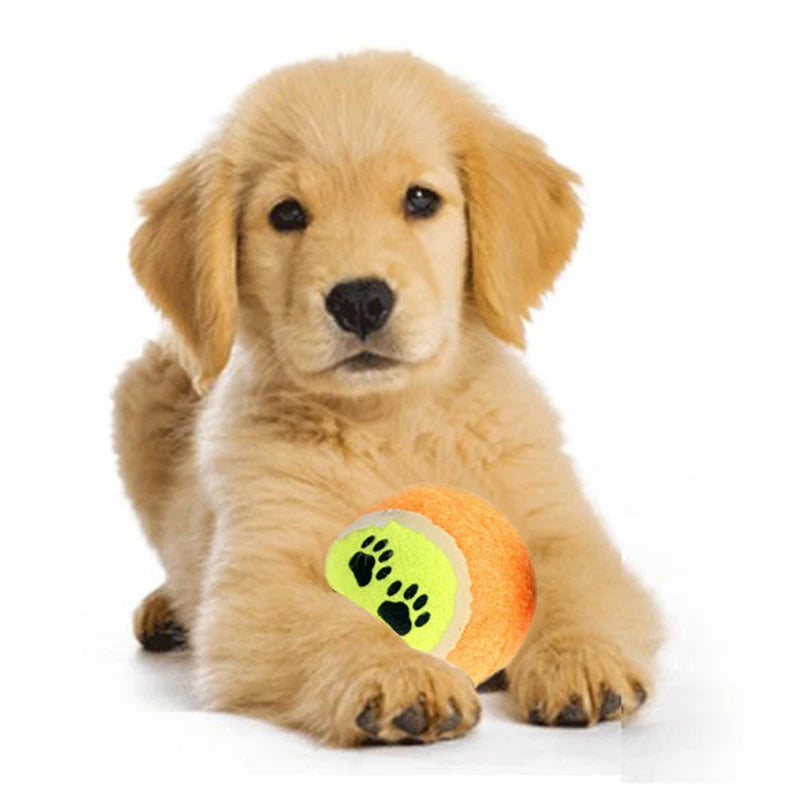 Tennis Dog Balls